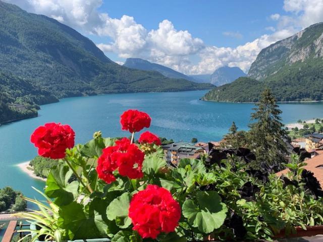 Aurora 3* Molveno