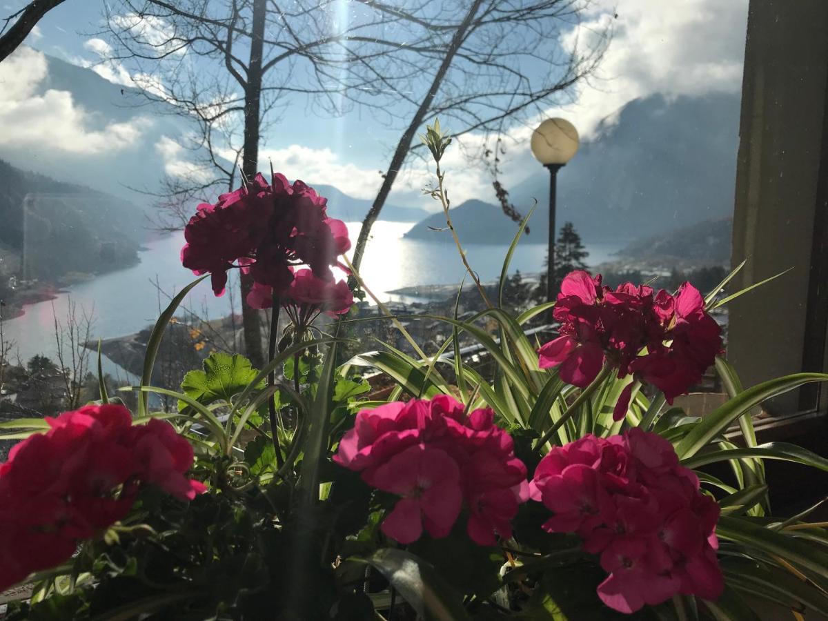 Aurora Molveno